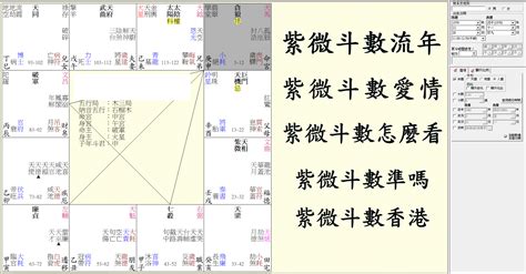 飛星 怎麼看|紫微斗數基礎 